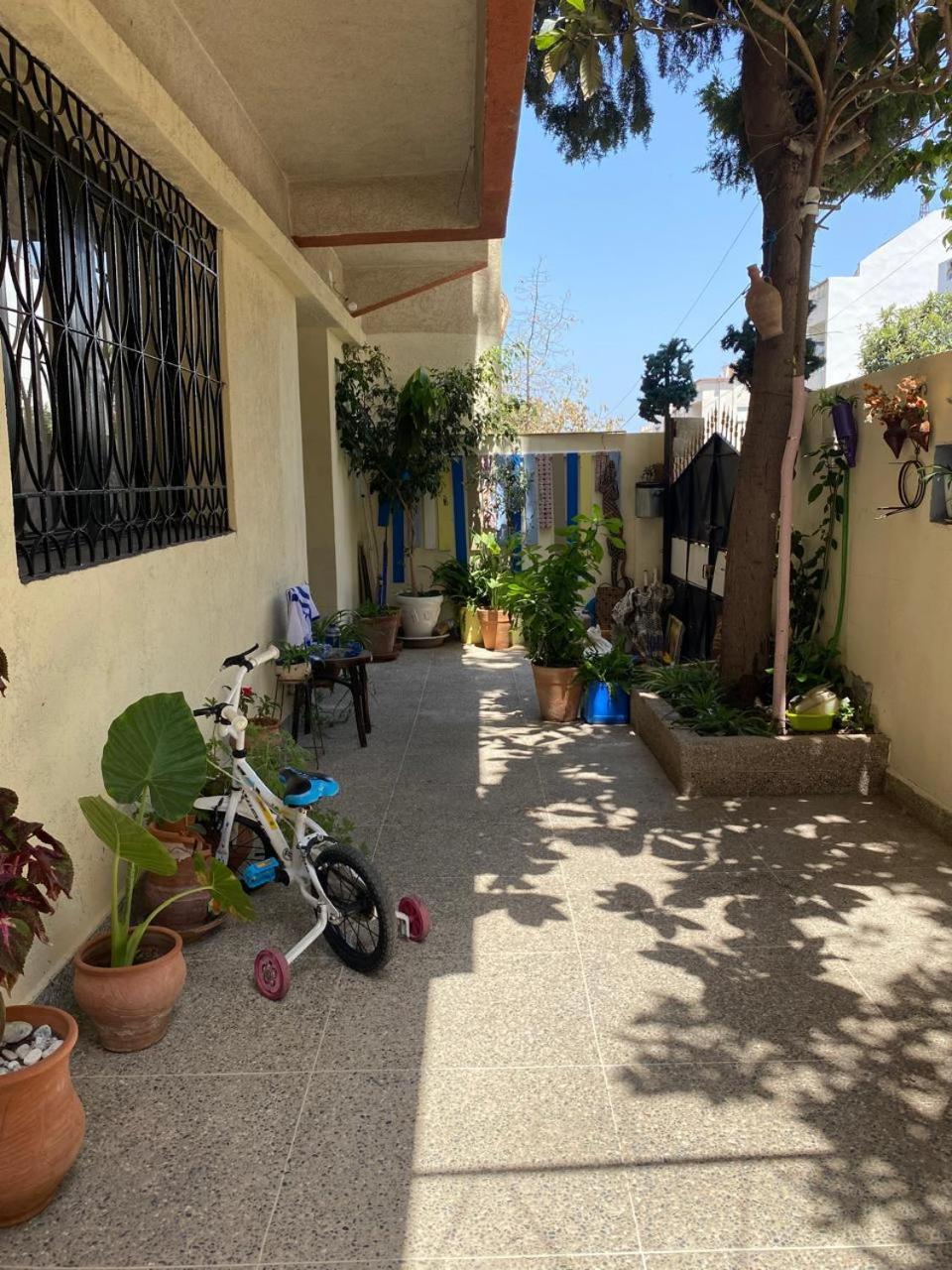 Hotel Dar Shamsy à Souani  Extérieur photo