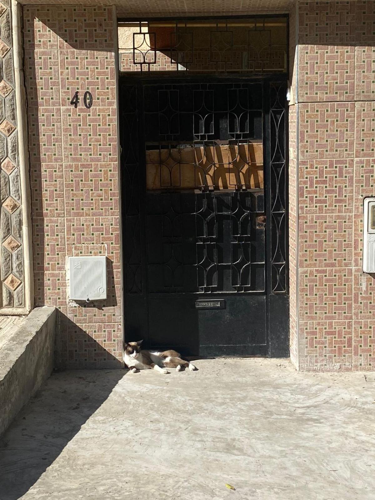 Hotel Dar Shamsy à Souani  Extérieur photo